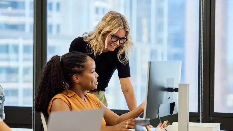 Female employee explaining strategies to manager