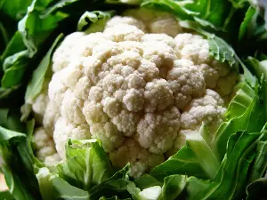 On Nutrition: White food isn't all bad