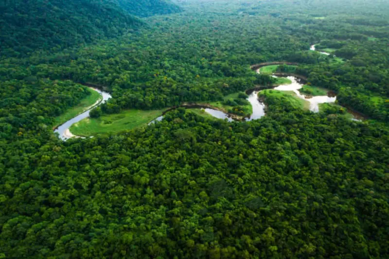 La selva de Perú como espejo del alma