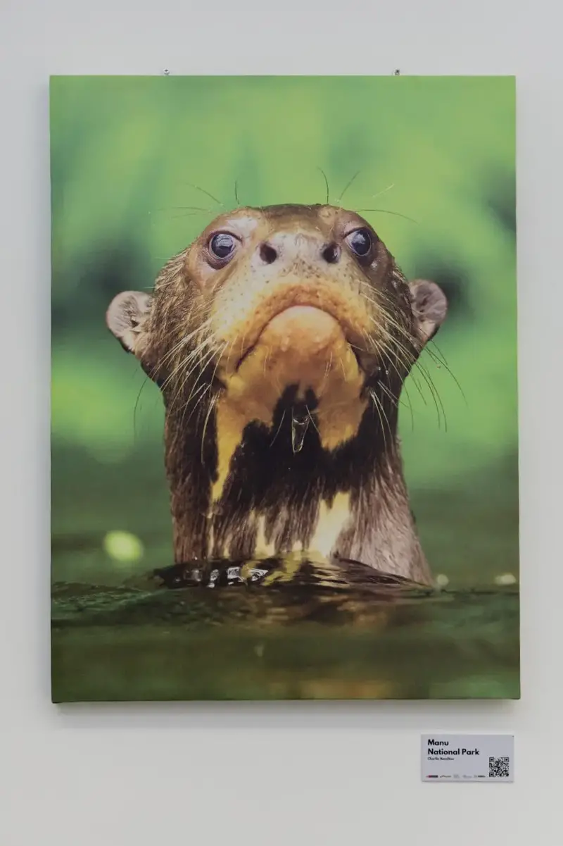 Peruvian nature in focus at Siam Discovery