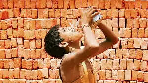 IMD sees normal day temperatures, warmer nights in April-June