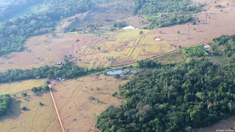 Amazonía pierde vegetación y aumenta su riesgo climático