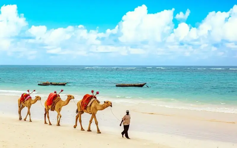 Mombasa’s package holidays are highly competitive on price - Shutterstock
