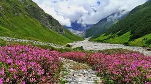 Valley of Flowers trek is open for tourists: Best time to visit, itinerary, and all you need to know if you visit