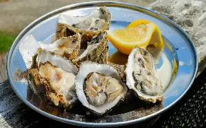 Heatwaves take Scottish oysters off the menu