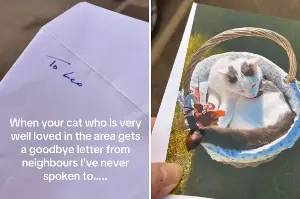 Cat Owner Gets Note From Neighbor, in Shock at What It Says—’Ruined My Day’