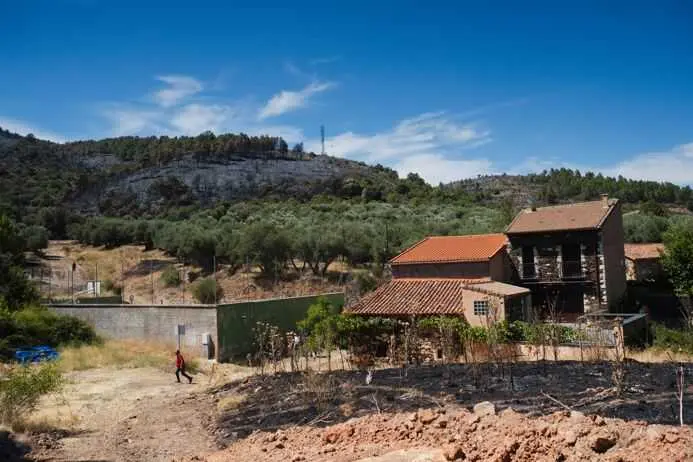 El incendio de La Mierla golpea el corazón ganadero de la sierra de Guadalajara: "Se nos quema el sustento de una vida"