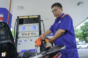 Thêm nhiều hãng xe lên tiếng về xăng E10
