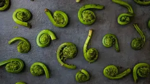 Tapping Into The Himalayan Tradition Of Eating Fiddlehead Ferns