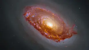 Hubble, James Webb Space Telescope team up to capture the 'Black Eye Galaxy' | Space photo of the day for Aug. 18, 2026