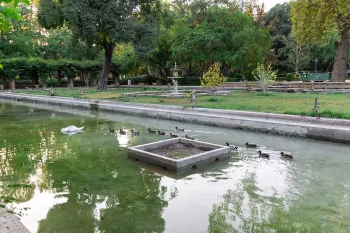 El Ayuntamiento adjudicada un contrato para garantizar el control y la salud de las aves en los parques