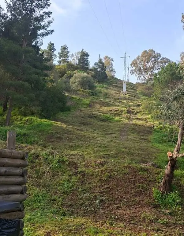 Endesa protege el entorno natural de sus líneas eléctricas en Almería a lo largo de 9.000 kilómetros