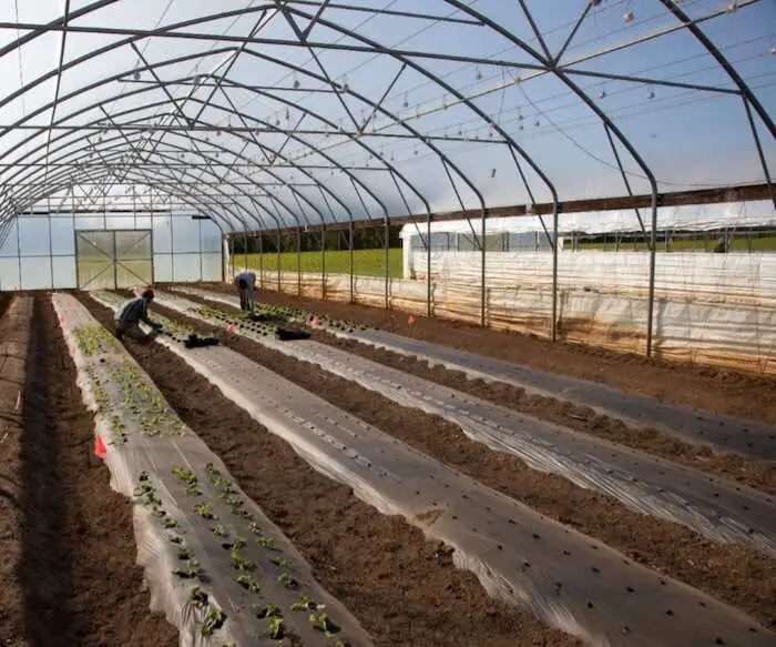 Asaja Almería impulsa la conexión entre empresas agrícolas y trabajadores formados a través de un programa de AERAL