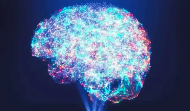 Apolo y Dioniso: dos modos de ser humano en un mismo cerebro