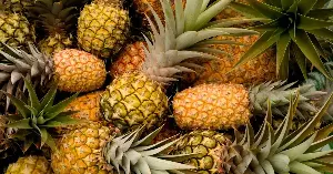 In eighteenth-century Britain a single pineapple could cost the equivalent of thousands of dollars, so rare and coveted that people didn’t eat them — they rented them, carrying the same fruit from party to party as a centerpiece to display their wealth