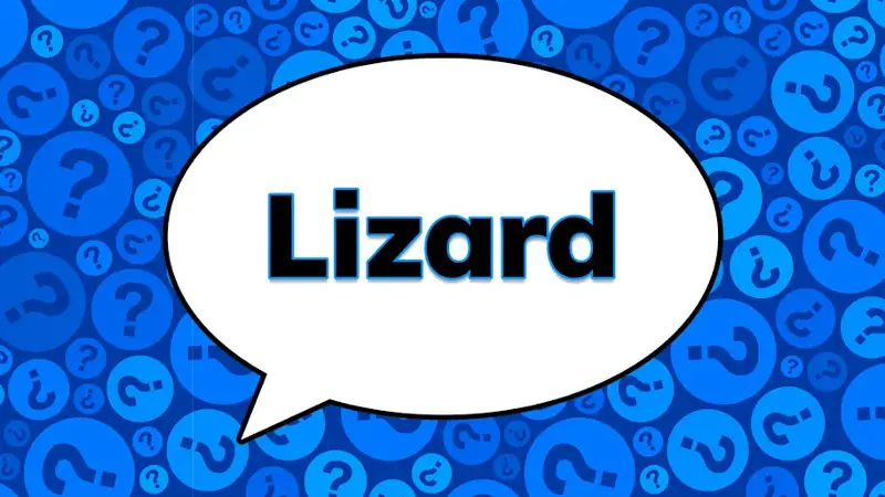 The phrase lizard in a speech bubble on a blue question mark background