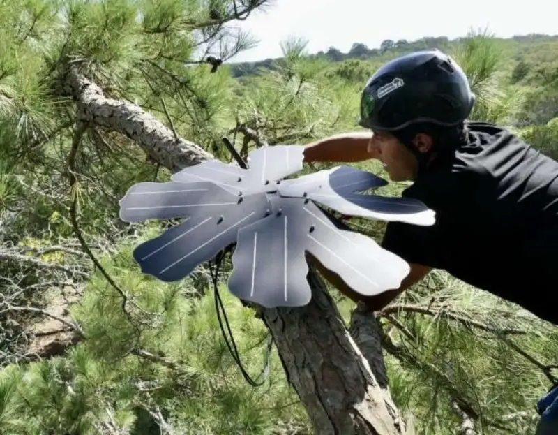 Micrófonos en los árboles: la tecnología que pone en jaque a los taladores ilegales