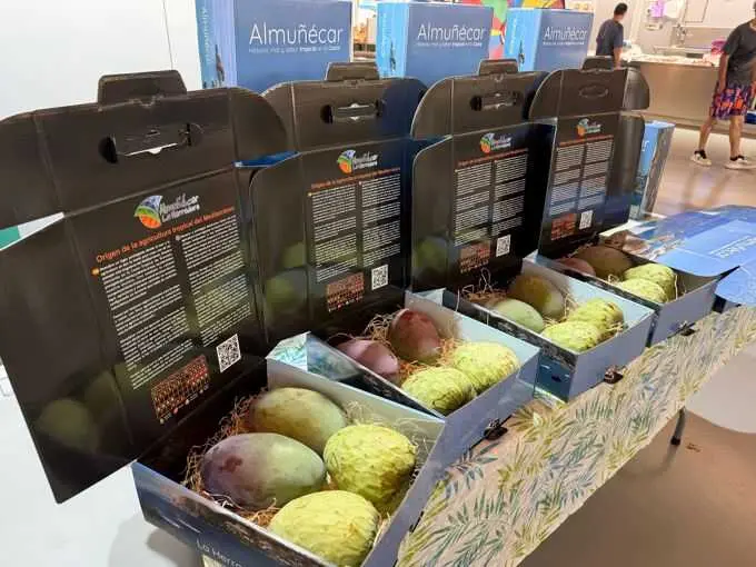 Asaja destaca la calidad del mango español en una campaña con buenas perspectivas