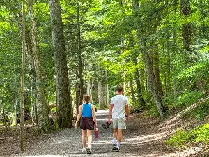 AI is joining human conversations on ‘forest walks’
