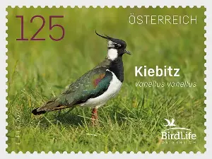 Austrian Post has issued a stamp featuring the Northern plover.