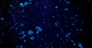 Only 0.001 percent of the deep ocean floor has ever been seen by human eyes — an area roughly the size of Rhode Island — according to a May 2025 study in Science Advances, meaning more than 99.999 percent of the seafloor covering two-thirds of our planet has never been observed by anyone, ever