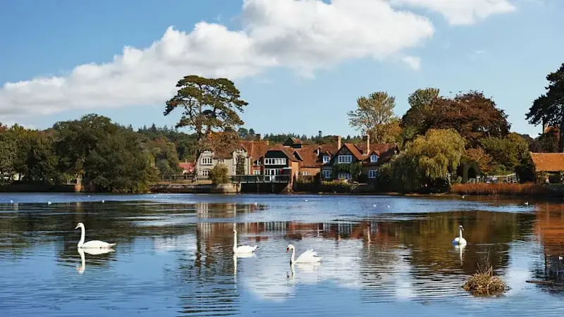 The Beautiful Beaulieu