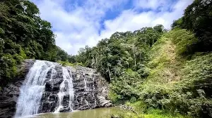 From mist-covered mountains to rain-soaked forests, these 6 monsoon destinations are perfect for a quick escape