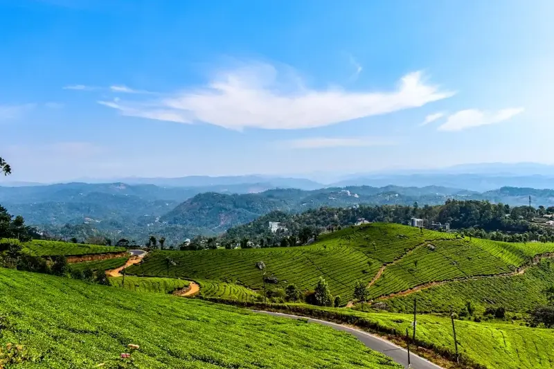 Munnar is famous for its rolling hills, but the monsoon brings fresh greenery across the region.