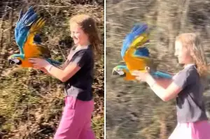 Girl, 12, Adopts Disabled Parrot Who Can’t Fly, She Refused To Give Up Hope