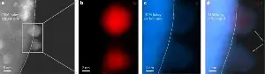 Recreating dying stars reveals hydrogen's key role in cosmic dust formation