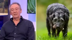 Paul Whitehouse pays tribute to 'amazing' dog Ted just days after broad daylight London mugging