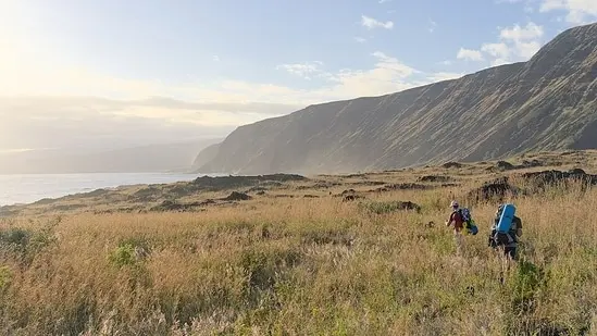 Hawaiʻi Volcanoes National Park, where the National Park Service says very few goats can now be found.