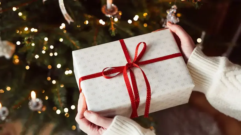 Hands of a young woman holding a Christmas present