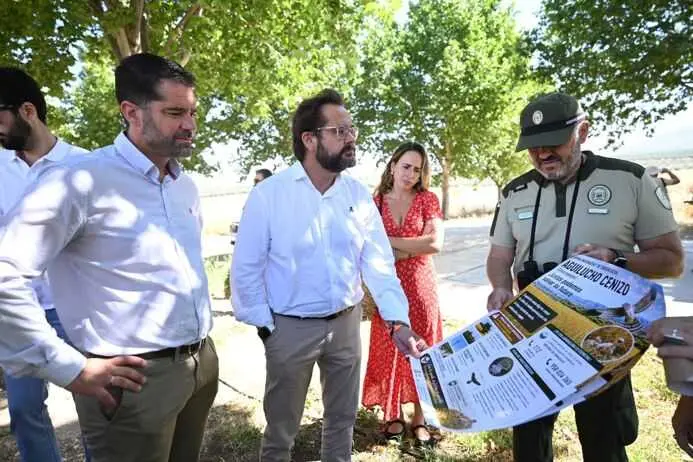 La Junta refuerza la conservación del aguilucho cenizo con actuaciones en 12 zonas de reproducción