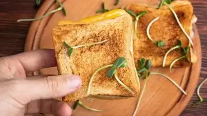 Probiotic Boosted Bread Besan Toast With Fresh Herbs And High Protein For Vegetarian Morning Meals
