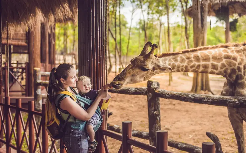 Seeing animals face-to-face forges a lifelong bond between humans and the species we share the planet with - iStockphoto