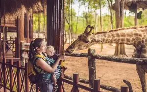 What’s the point of zoos? Here’s my starter for ten, All Souls...