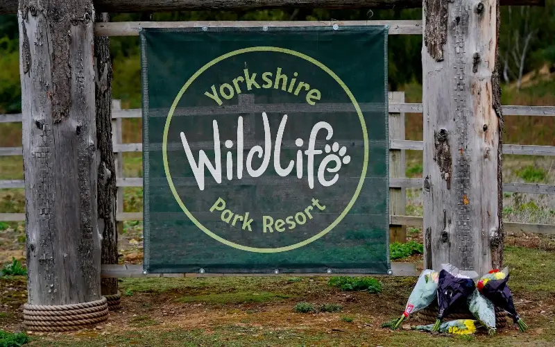 Flowers are left at Yorkshire Wildlife Park in Doncaster after a man was mauled to death by a tiger - Tom Maddick /SWNS