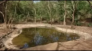 423 wild animals spotted during annual waterhole census