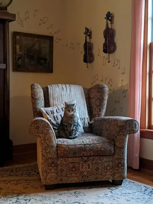 ¿Es bueno que mi gato se quede solo cuando me voy de viaje?