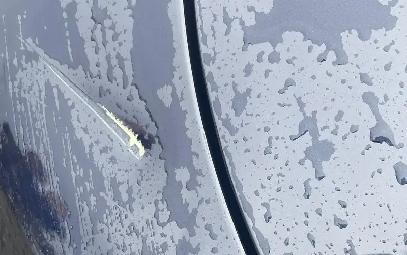 The wife of the man who caused the damage left a note admitting culpability