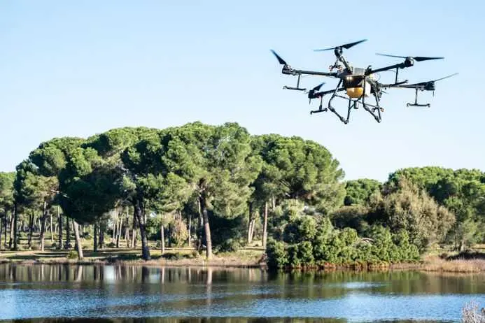 Andalucía eleva a doce los contagios por virus del Nilo tras un nuevo caso en Sevilla y pone en alerta a Lopera (Jaén)
