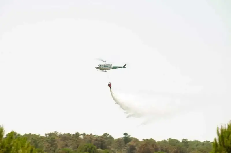 Localizados 42 de los 46 linces liberados del centro de cría de Santa Elena por la cercanía del incendio
