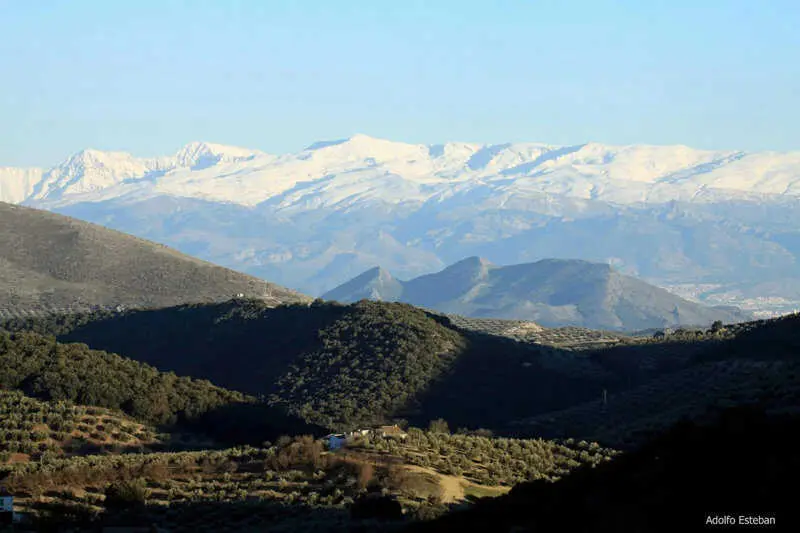 Íllora retrasa el Parapanda Folk tras quedar desierto el contrato de montaje y organización