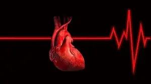 Feeling dizzy with a slow pulse? Cardiologist explains what it could mean: ‘Changes in the heart’s electrical system…’