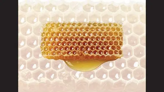Good honey is tough to find. There’s a high chance that the one you eat is adulterated. (ADOBE STOCK)