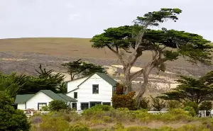 Fire tearing through Santa Rosa Island reaches critically endangered trees
