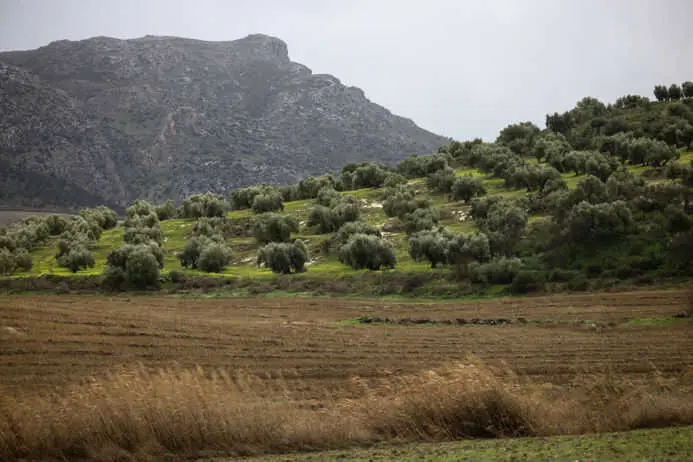 La Diputación refuerza su apoyo a la industria agroalimentaria con ayudas de más de 5,4 millones de euros