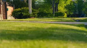 This Is the Ideal Soil Temperature to Start Spring Lawn Care – And What to Do When It Hits