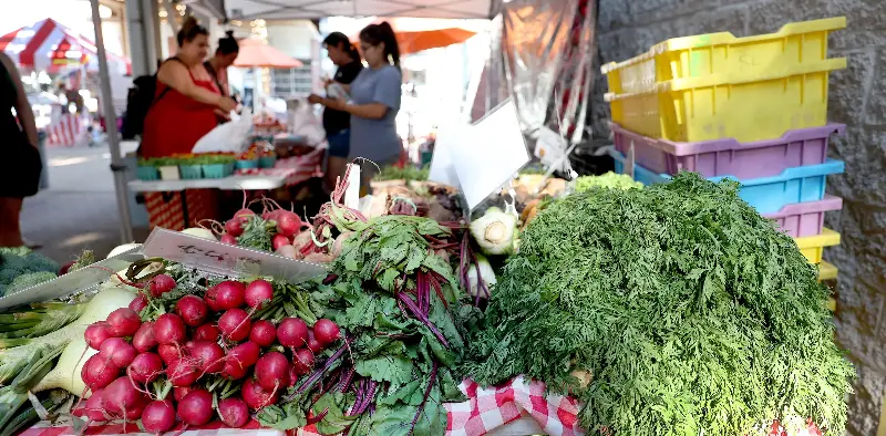 What to know about eating at home and dining out during the cyclospora outbreak